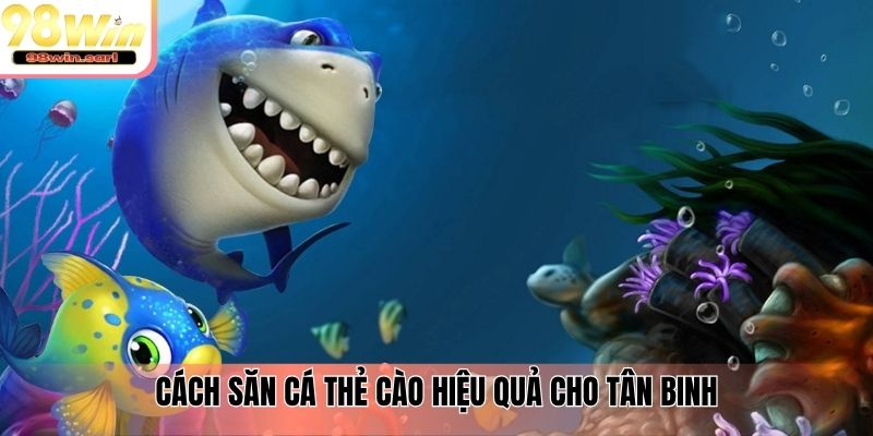 Cách săn cá thẻ cào hiệu quả cho tân binh