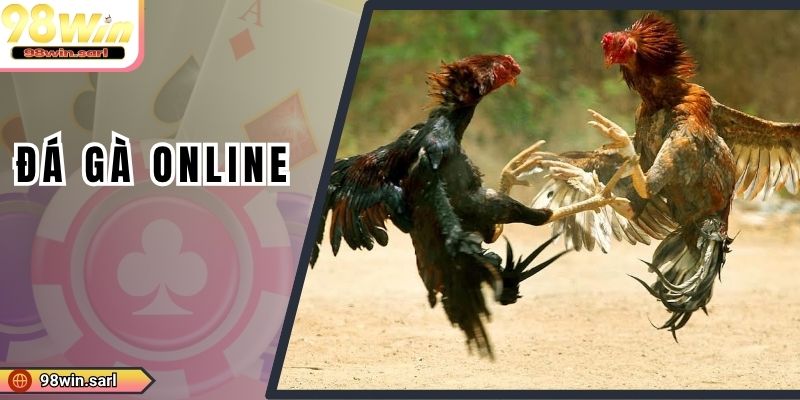 Đá Gà Online Là Gì? 3 Loại Hình Chọi Gà Cực Chất Năm 2025