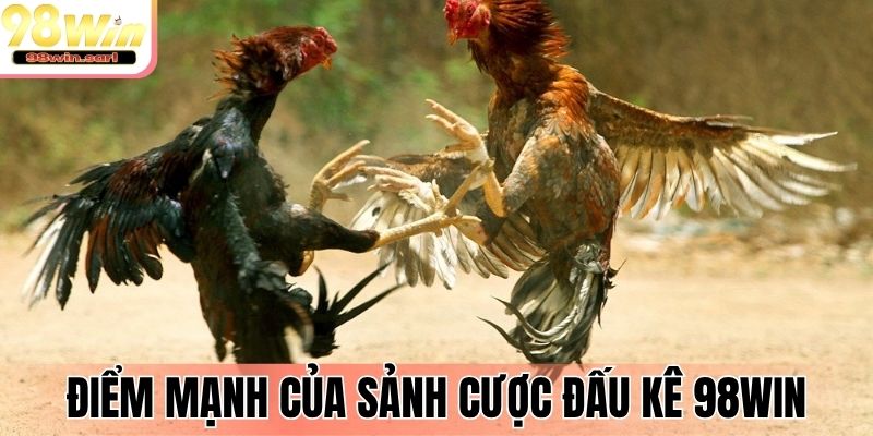 Điểm mạnh của sảnh cược đấu kê 98Win