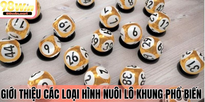 Giới thiệu các loại hình nuôi lô khung phổ biến nhất