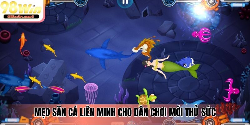 Mẹo săn cá liên minh cho dân chơi mới thử sức