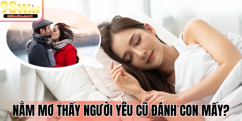 Nằm mơ thấy người yêu cũ đánh con mấy?