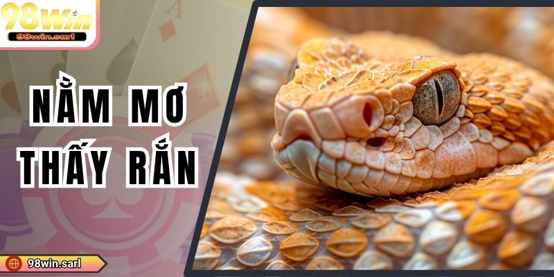 Nằm Mơ Thấy Rắn Ý Nghĩa Xấu Hay Tốt? Đánh Số Gì May Mắn?