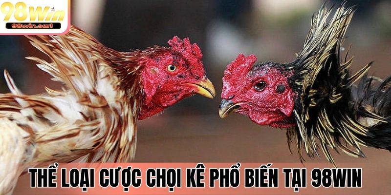 Thể loại cược chọi kê phổ biến tại 98Win