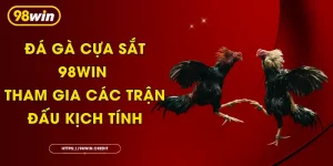 Đá Gà Cựa Sắt 98Win - Tham Gia Các Trận Đấu Kịch Tính