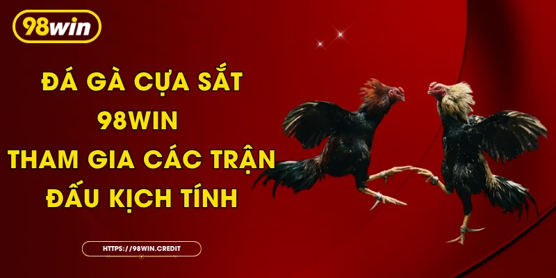 Đá Gà Cựa Sắt 98Win - Tham Gia Các Trận Đấu Kịch Tính